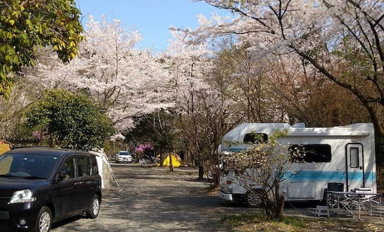 新富士オートキャンプ場