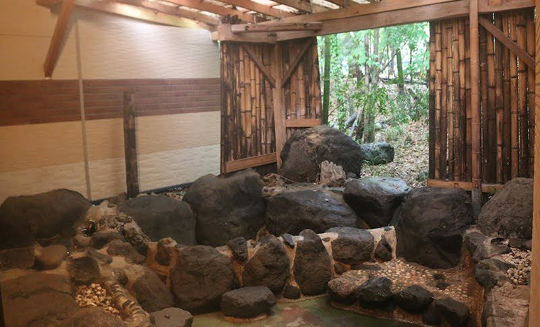 新富士オートキャンプ場