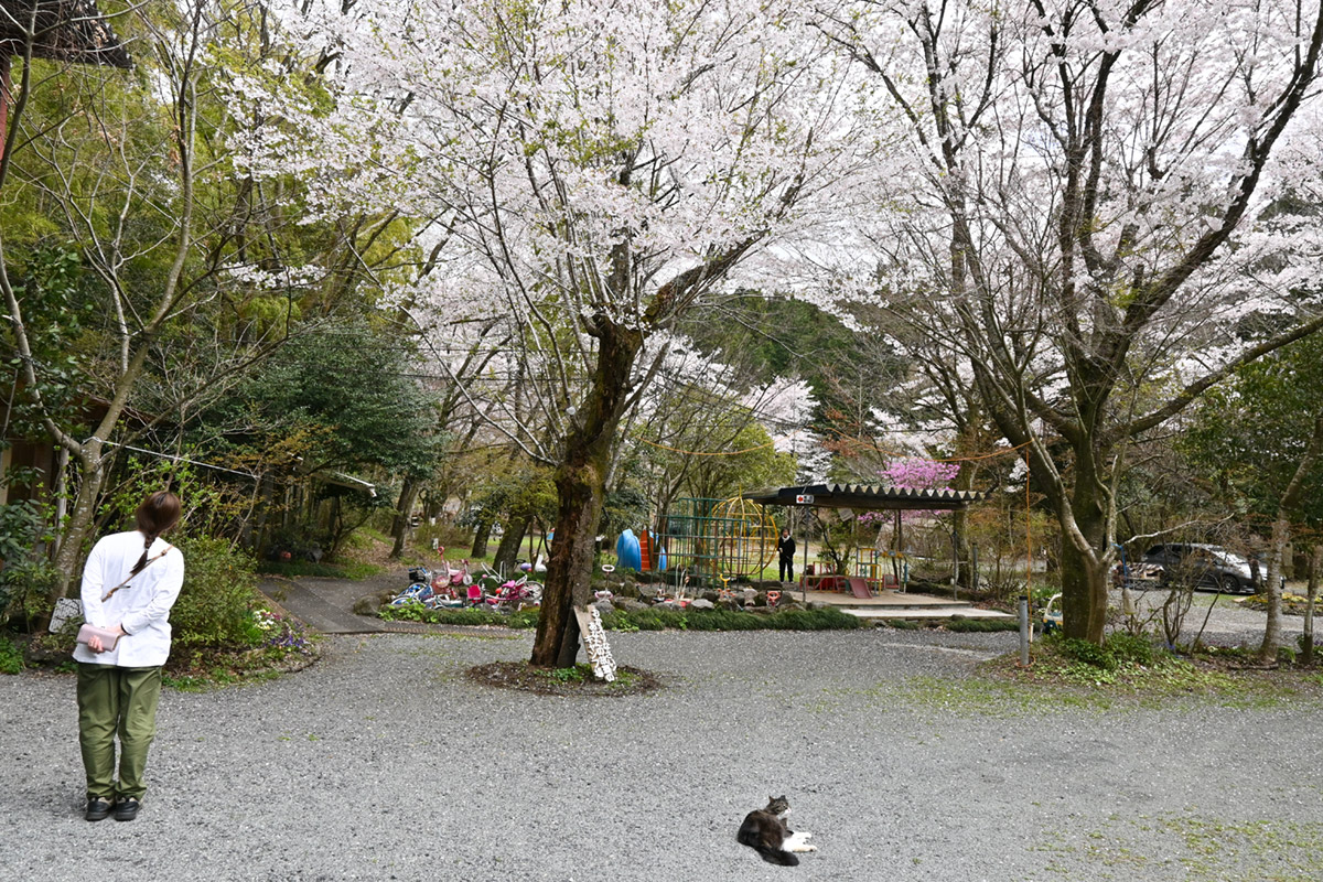 新富士オートキャンプ場