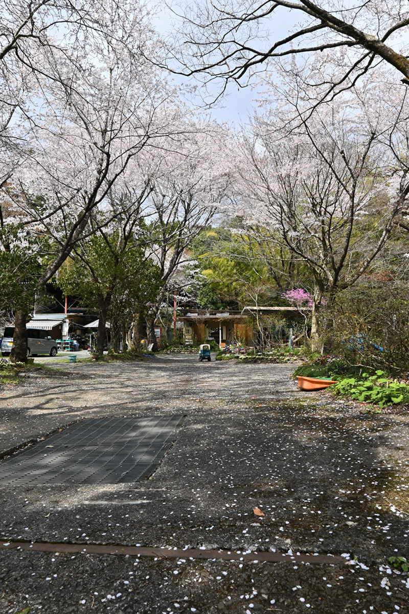 新富士オートキャンプ場