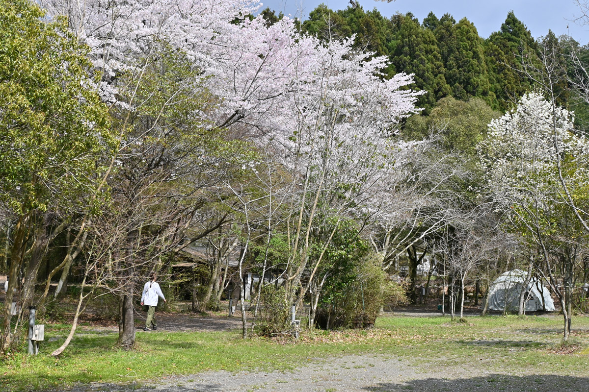 新富士オートキャンプ場