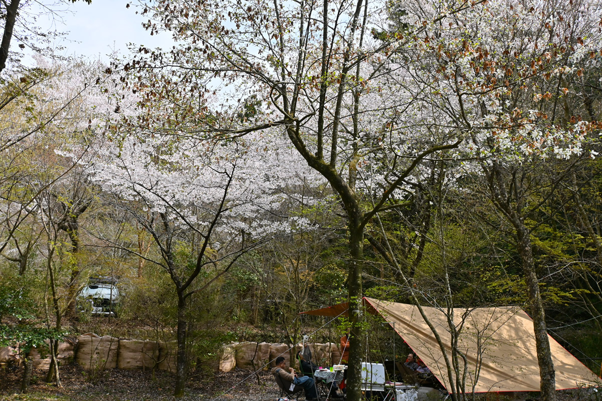 新富士オートキャンプ場