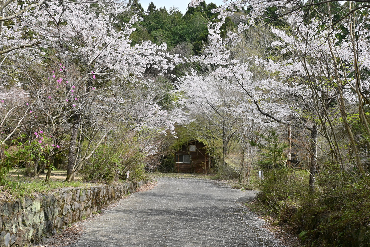 新富士オートキャンプ場