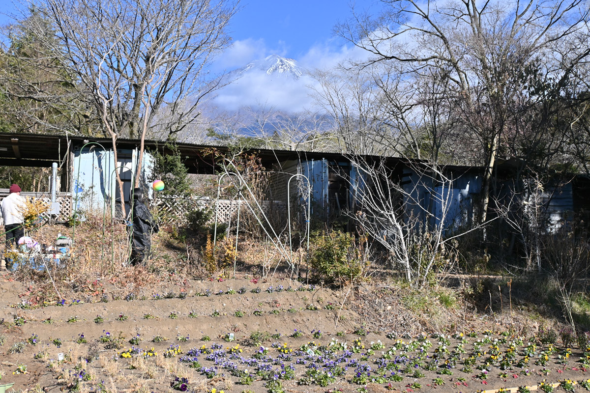 花畑農園